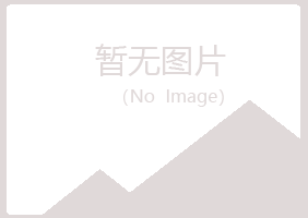 青铜峡紫山化学有限公司